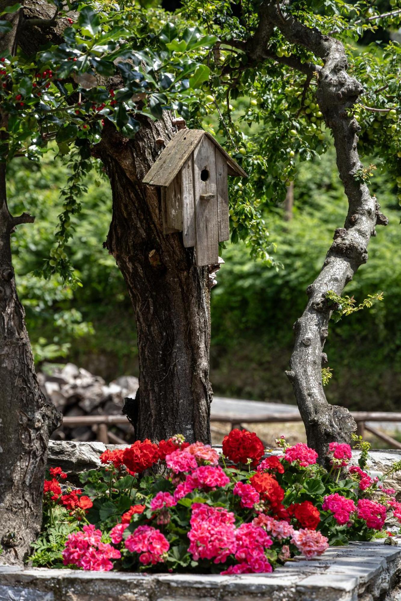 Mountain'S Secret Hotel Mouresi Exterior photo